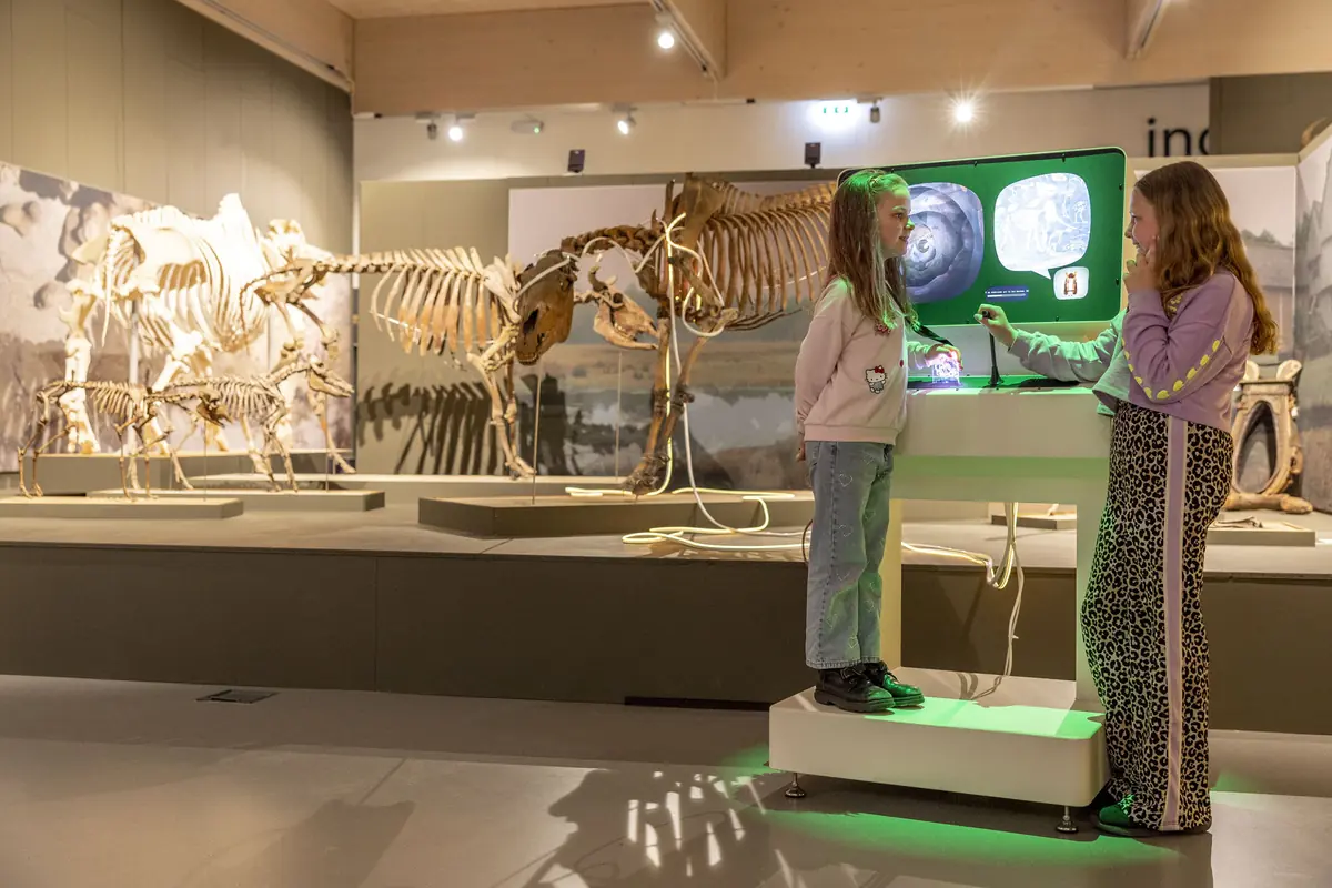 Museumweek actie 'Uitgeleefd!' — Museum Klok & Peel, Asten