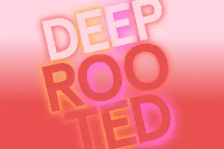 Deep Rooted. The Impact of Graffiti on Art