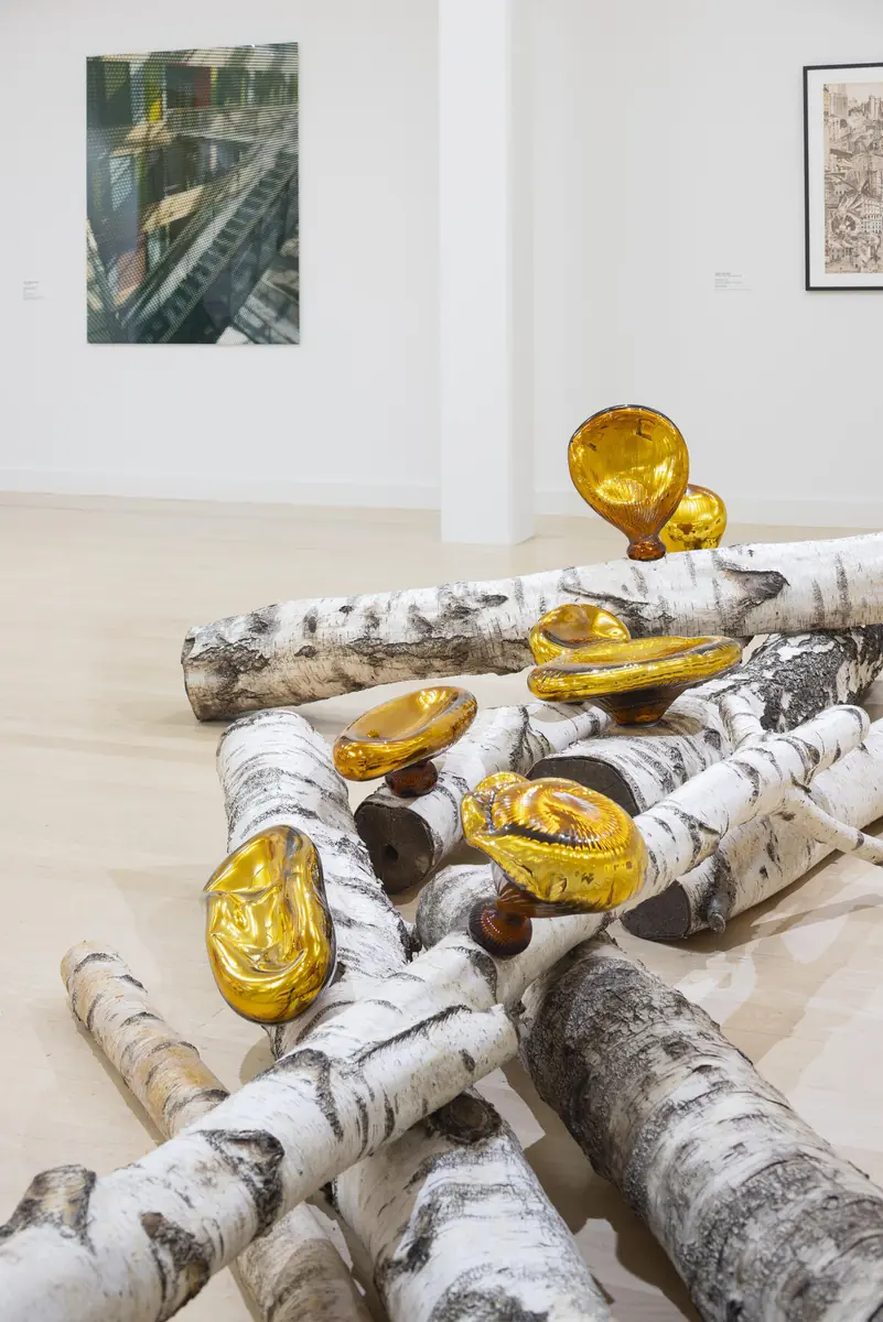 Kijk om je heen! — Museum de Fundatie, Zwolle