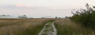 Into Natu­re: Haun­ted by Waters