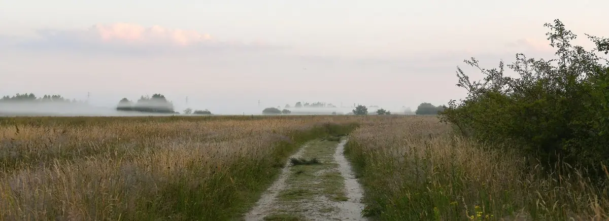 Into Natu­re: Haun­ted by Waters — Drents Museum De Buitenplaats, Eelde