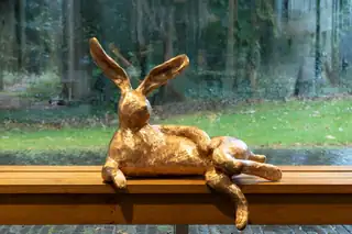 Clay Hares