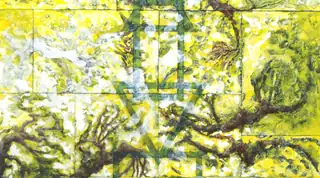 René Ziedses Des Plantes - Het Bomige