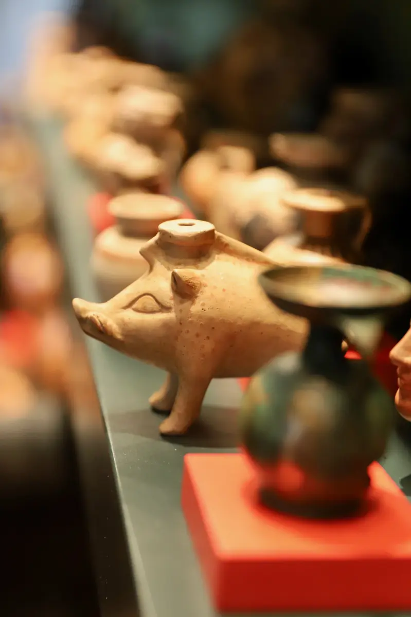 Vindplaats Live - Pottery from the Greek World — Allard Pierson, Amsterdam