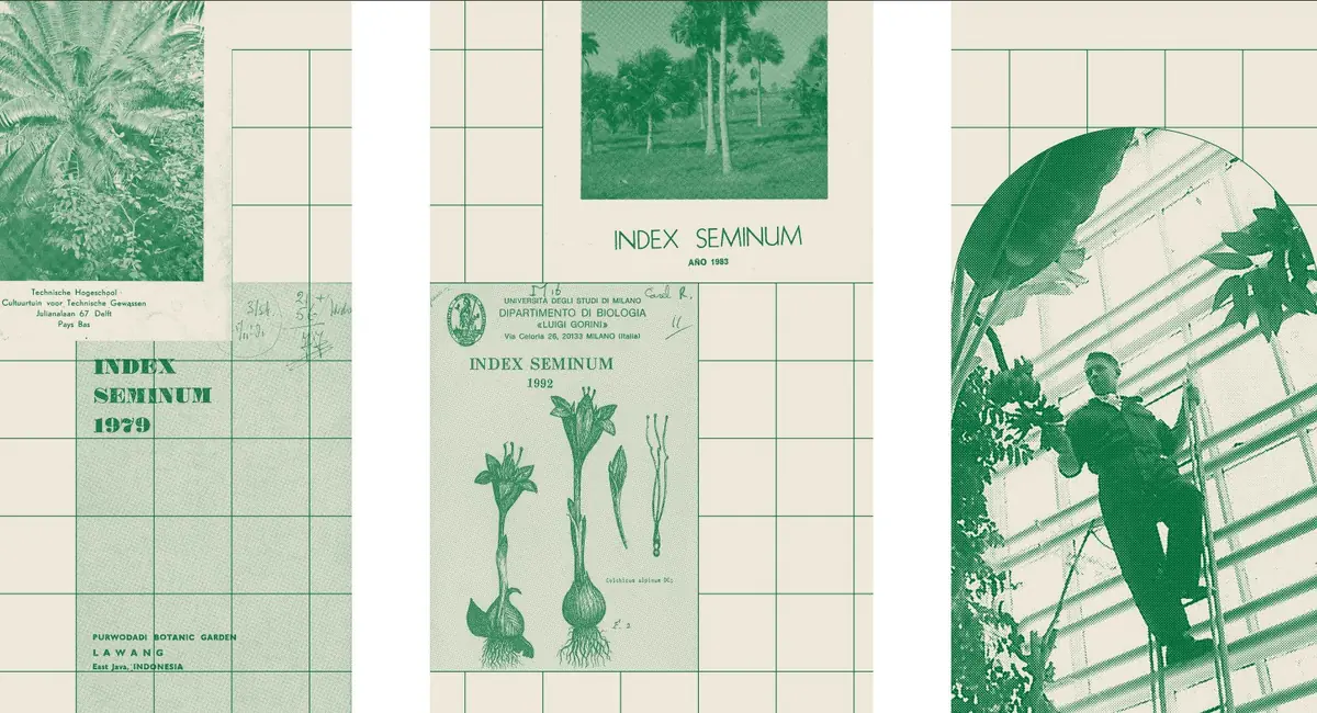 A Complete Chain of Seed Collecting — TU Delft Hortus Botanicus, Delft