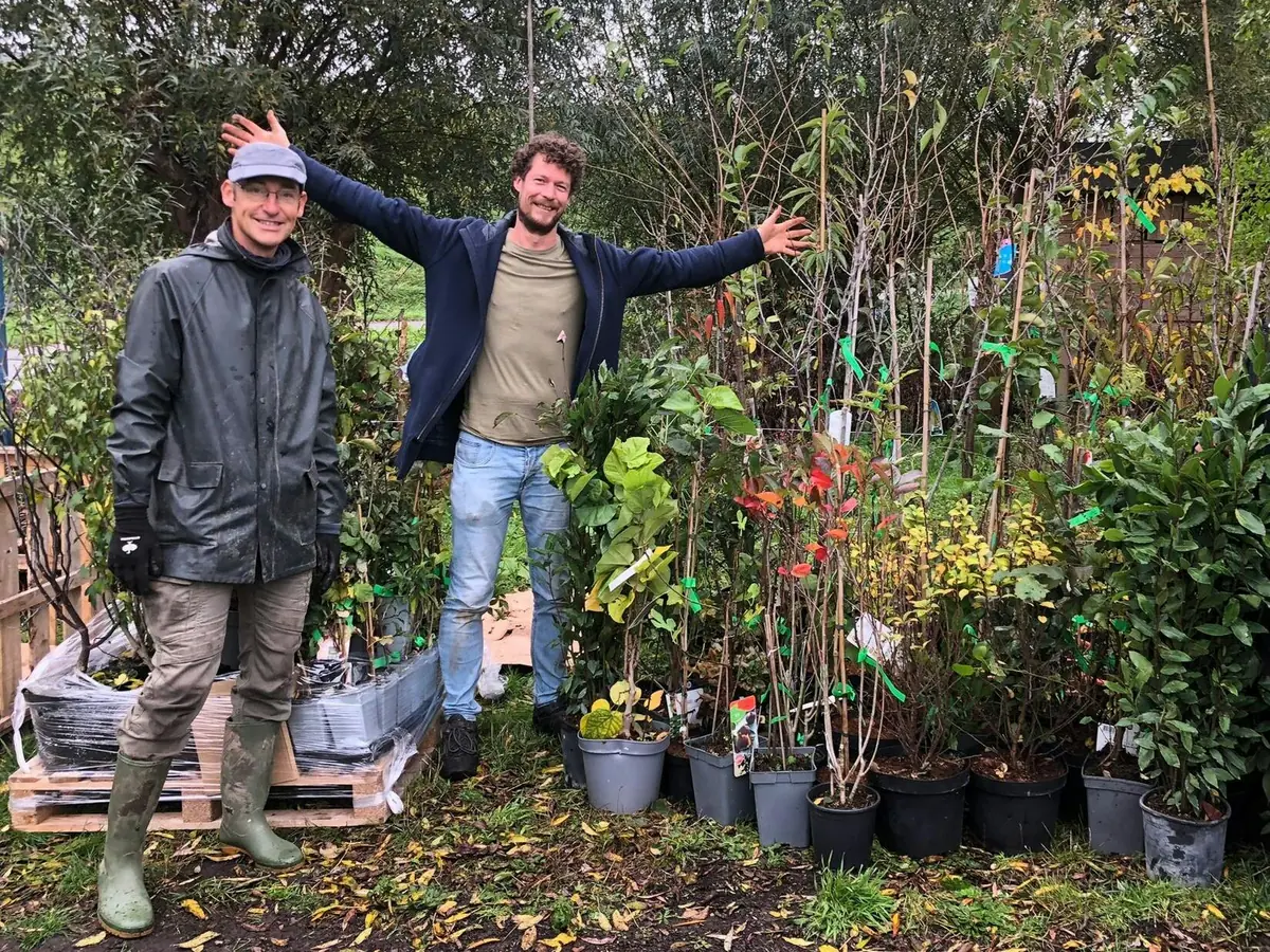 Guided tour through Weij food forest — Weij, Maassluis