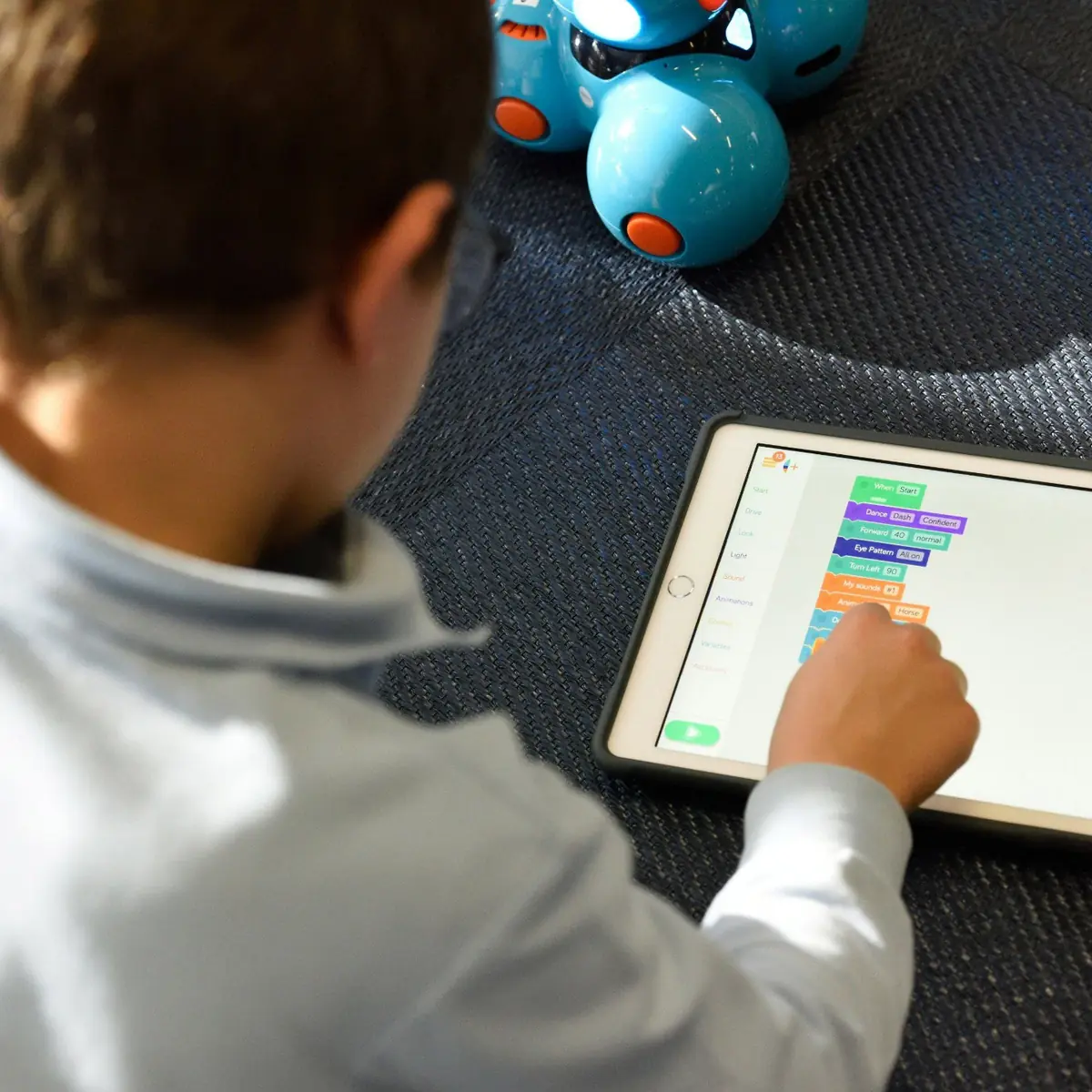 Digiplay: Programmieren mit Scratch — Renkum, de Zoomerij Renkum, Renkum