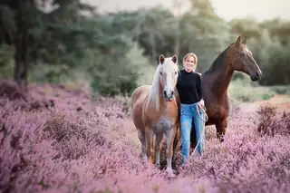 Beleefdag Paardenparadijs