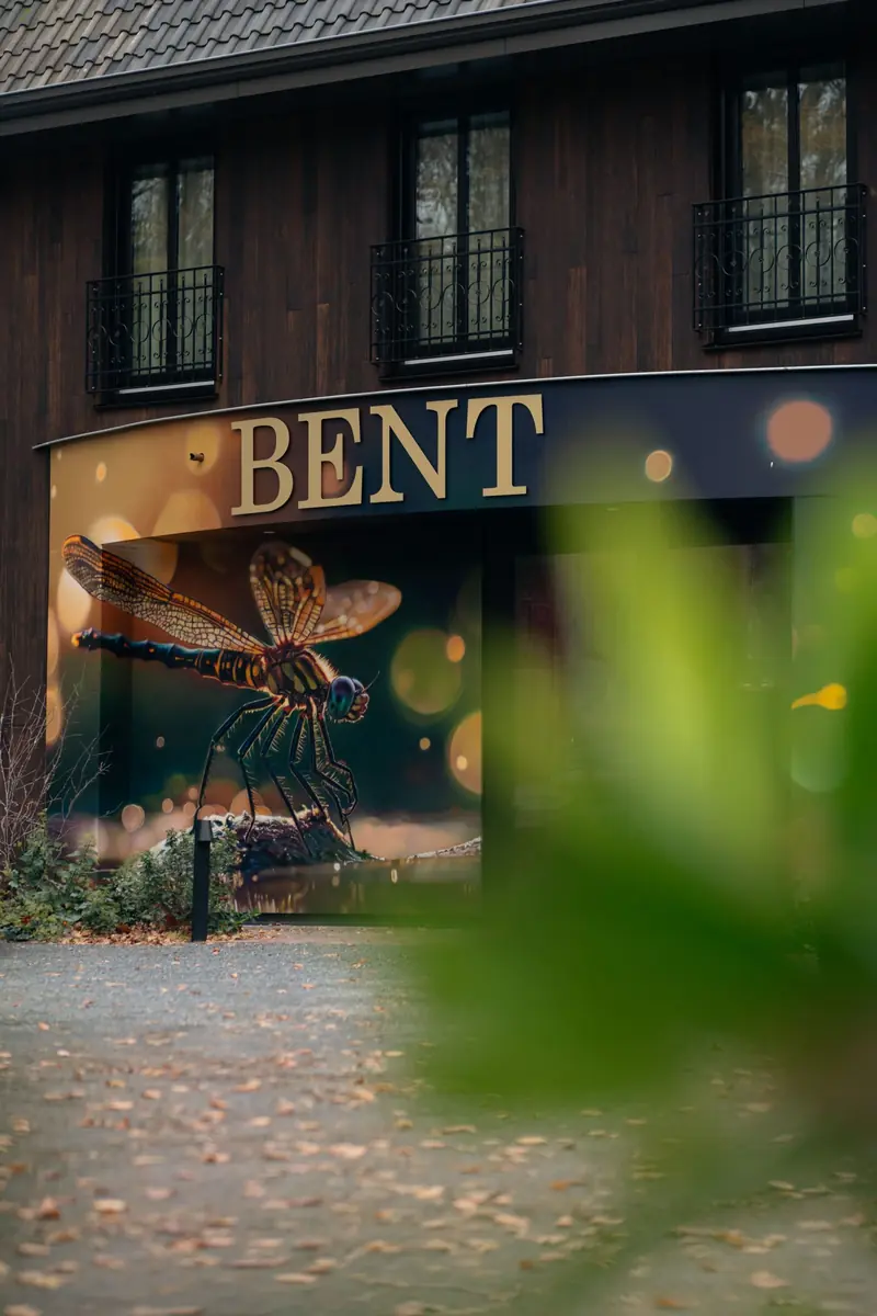 Eco-Mindful Walk — Hotel Bent, Oisterwijk