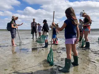 Wadexcursie Schiermonnikoog