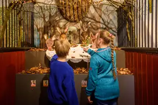 Exhibition 'Spoorzoeken 2.0'