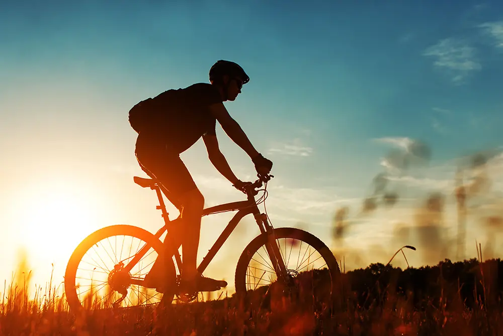Mountainbike / MTB Trail Noordwijk — We Love Wheels, Noordwijkerhout