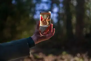 Voor ze verdwijnen
