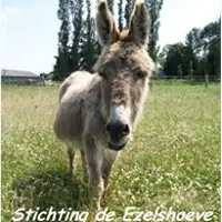 Open dag Ezelshoeve — Stichting de Ezelshoeve, Baarle-Nassau