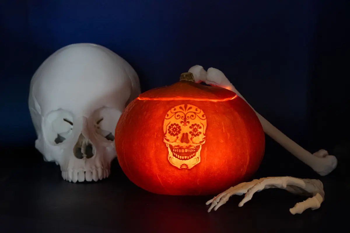 Engrave a Pumpkin Lantern — Forum Groningen, Groningen