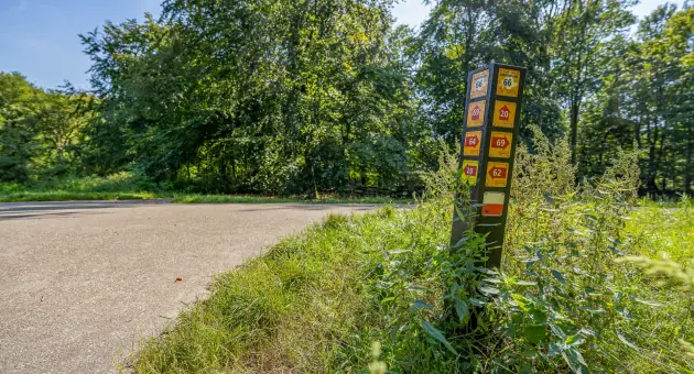 Spaziergang mit Grünexperte Michel — Overig Den Haag, Den Haag