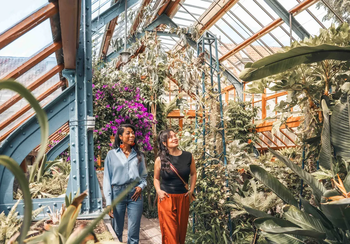 Insta Tour of the Oude Hortus — Universiteitsmuseum Utrecht, Utrecht