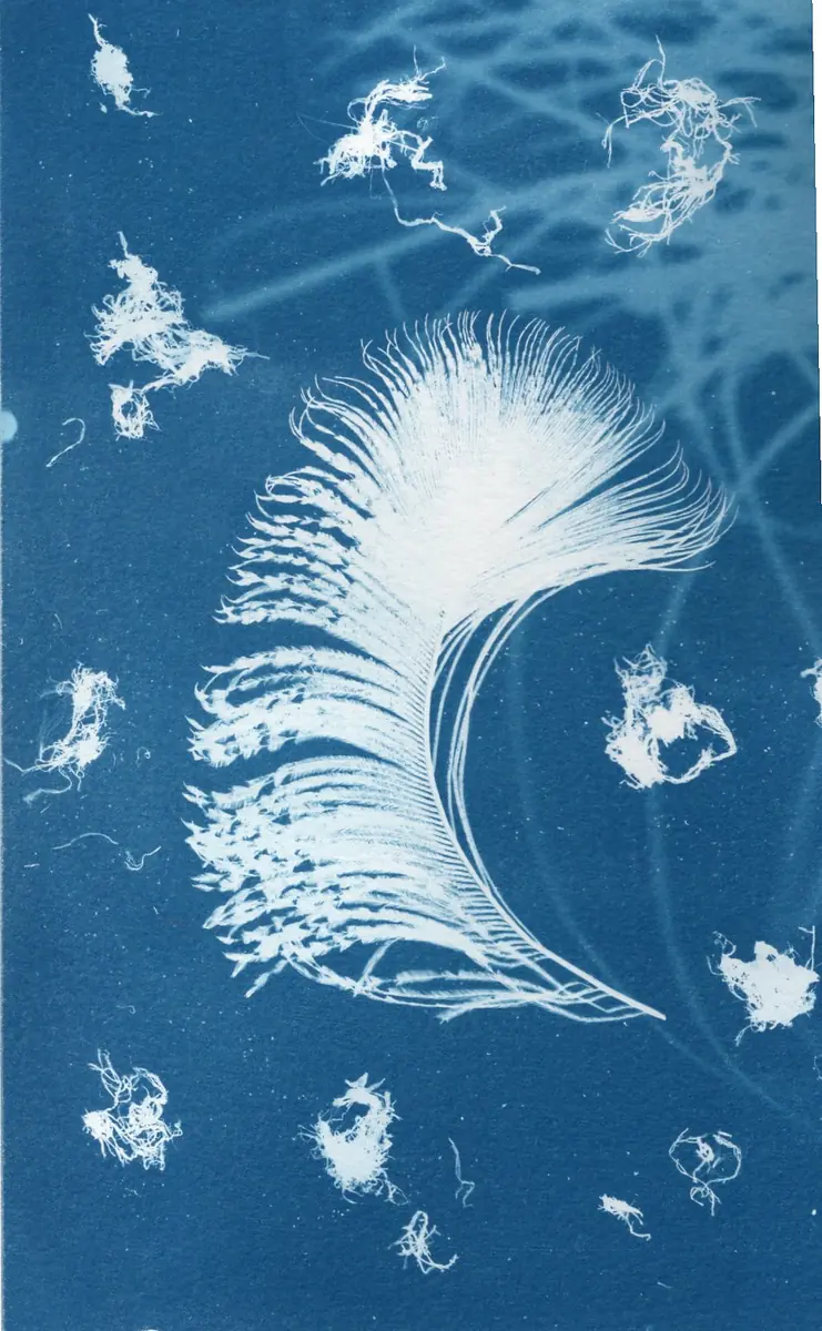 Forgotten Crafts - Cyanotype printing 4 — Dokhuis, Rotterdam