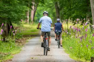 Digital-Workshop: Mit der Fietsknoop-App unterwegs