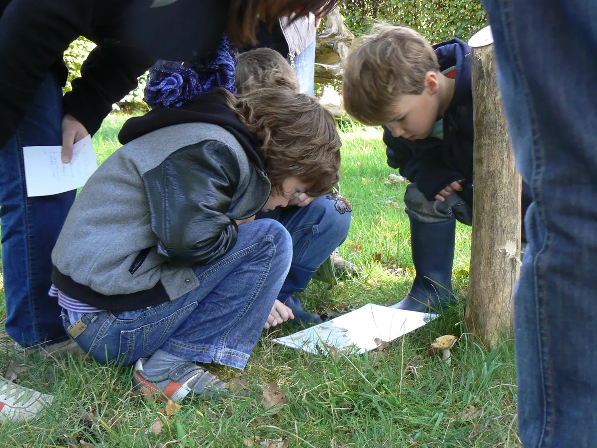 Children's Afternoon at de Kraaijenberg — Bezoekerscentrum de Kraaijenberg, Bergen op Zoom