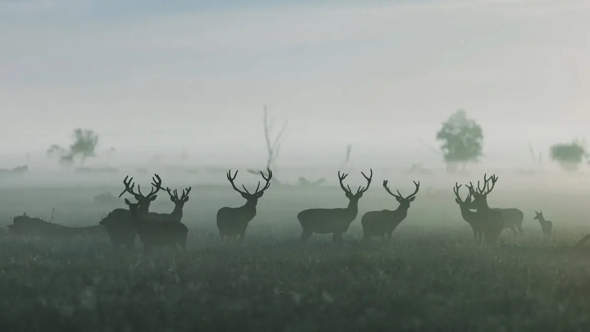 Nieuw Land Experience Oostvaardersplassen - Lelystad — Lelystad
