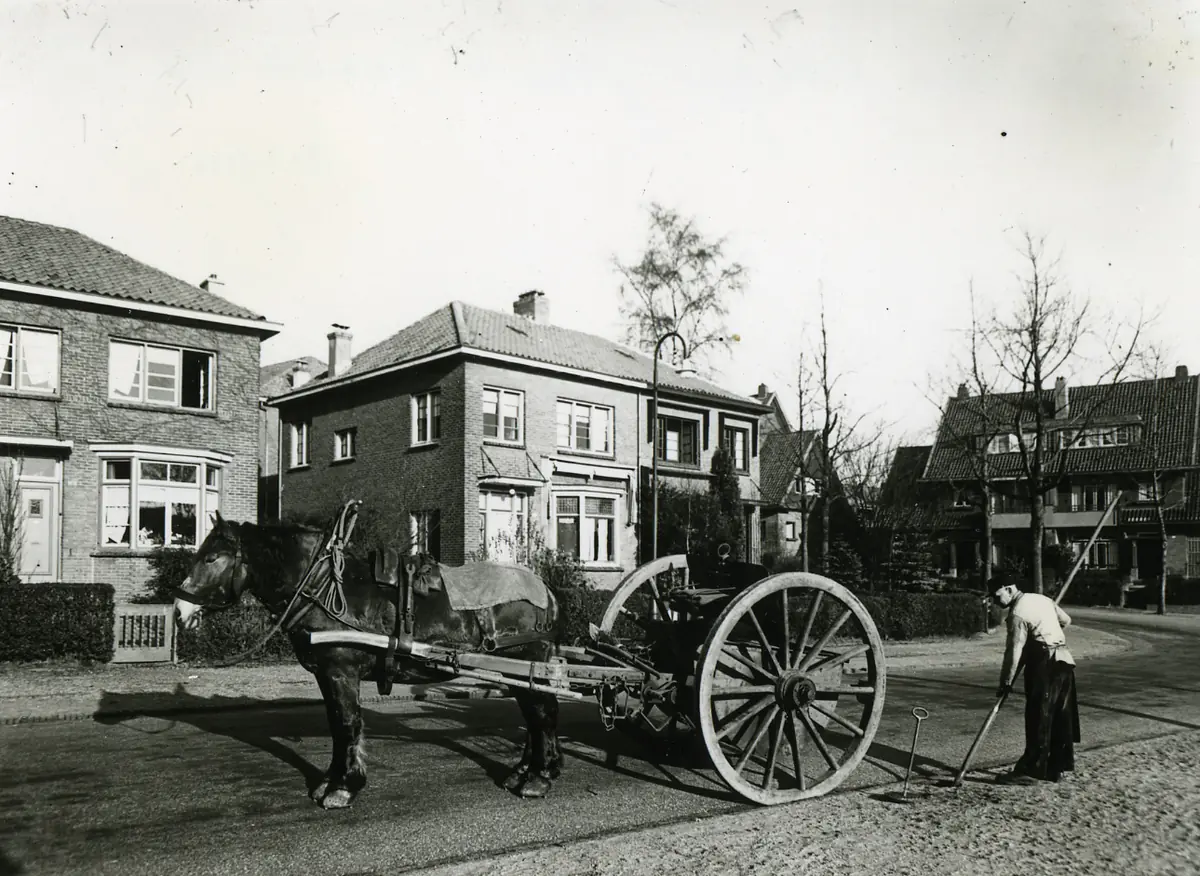 Animals in Arnhem - From Working Dogs to Pets — Arnhem