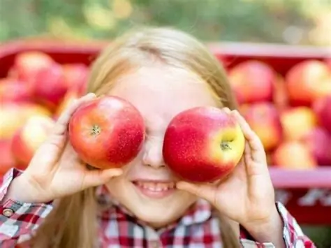 Apple Picking — Doorwerth