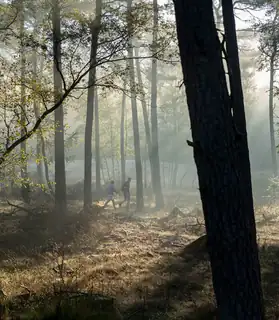 Hoge Veluwe Wandertag