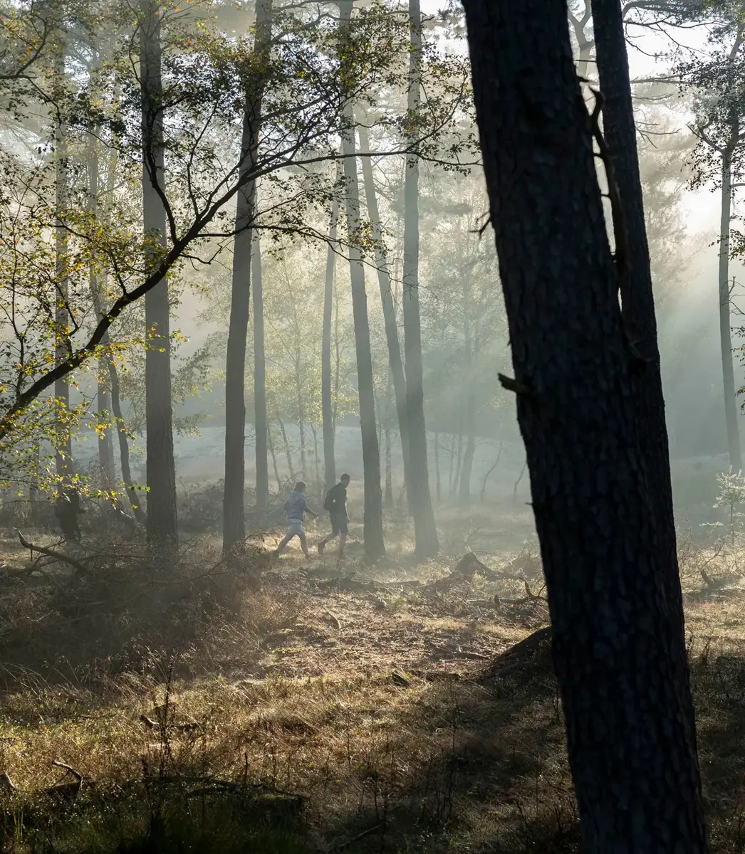 Hoge Veluwe Wandertag — Houtkampweg 9B, Otterlo