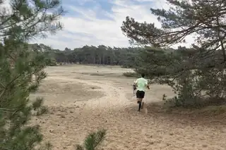 Hoge Veluwe Loop