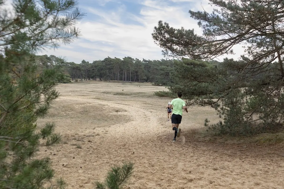 Hoge Veluwe Loop — Houtkampweg 9B, Otterlo