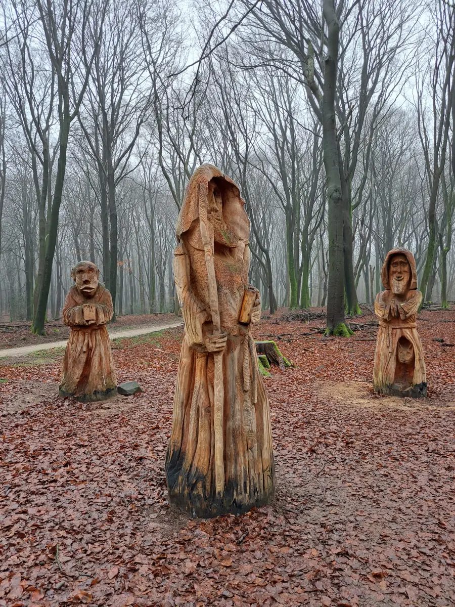 Guided tour Speulderbos and Solse Gat — Drie