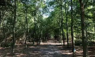 Wanderung über Groevenbeek