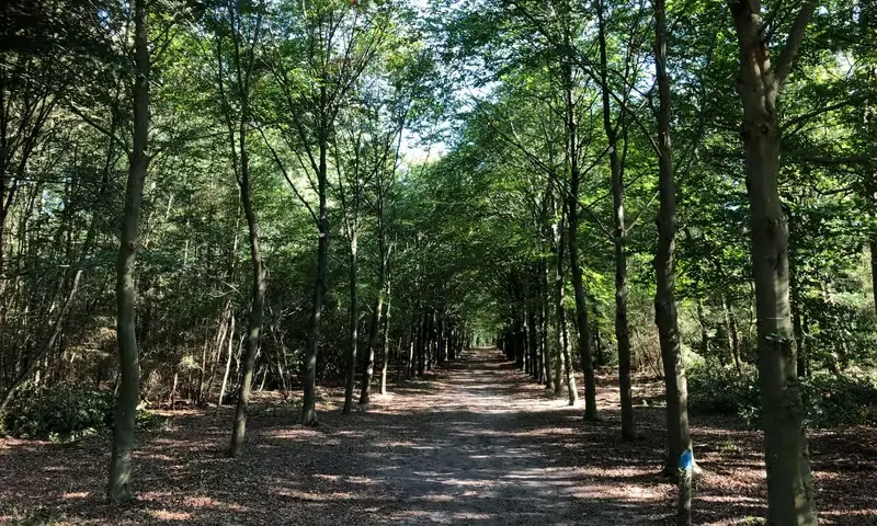 Wanderung über Groevenbeek — Ermelo