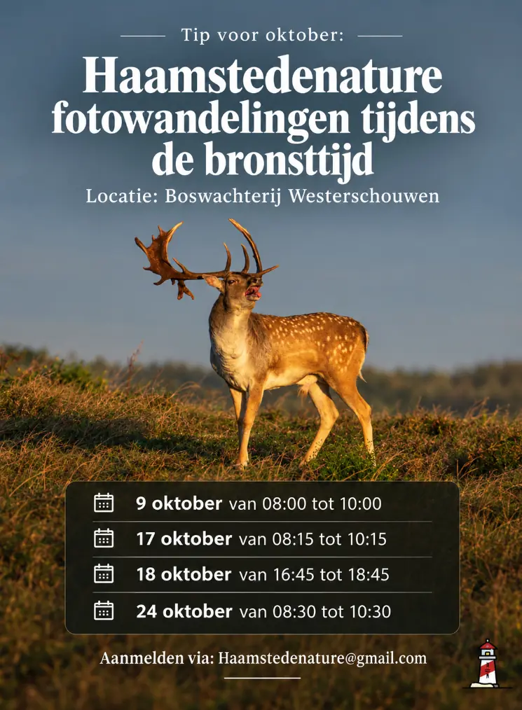 Haamstedenature Fotowanderung Während der Brunftzeit — A. van de Weijdeweg, Burgh-Haamstede