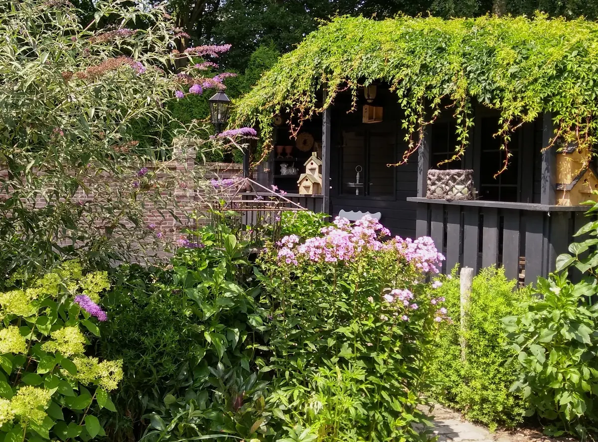 Garden Visit Buitenparadijsje — Hoogeloon
