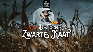 Die Reise der Schwarzen Kaat: Spannendes Halloween-Abenteuer