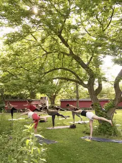 Yoga in the Hortus