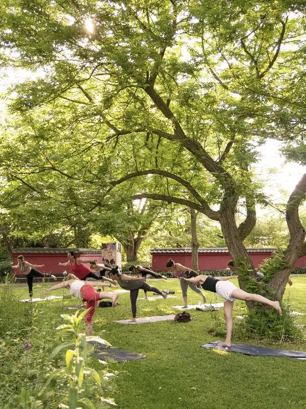 Yoga in the Hortus — Rapenburg 73, Leiden
