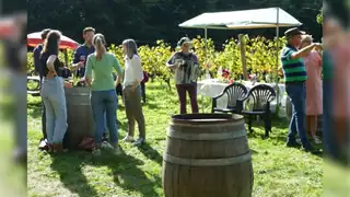 Weinfest Wagenings Wijngoed