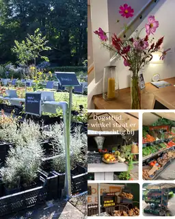 Biologische Gärtnerei mit Blumenpflückgarten und Hofshop