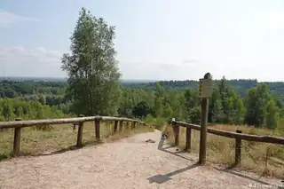 Wanderung mit dem Förster in Kwintelooyen