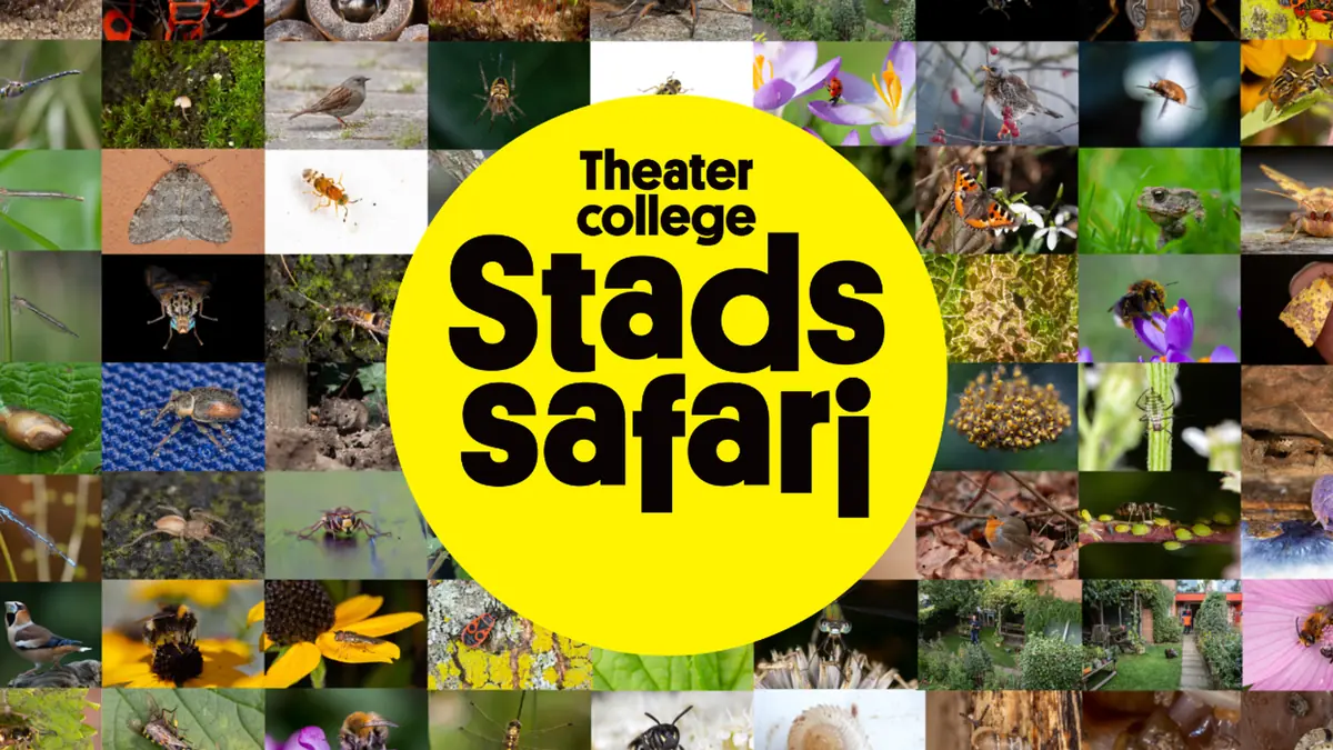 Stadssafari (6+) - Luc Hoogenstein — Kerkewijk 10, Veenendaal