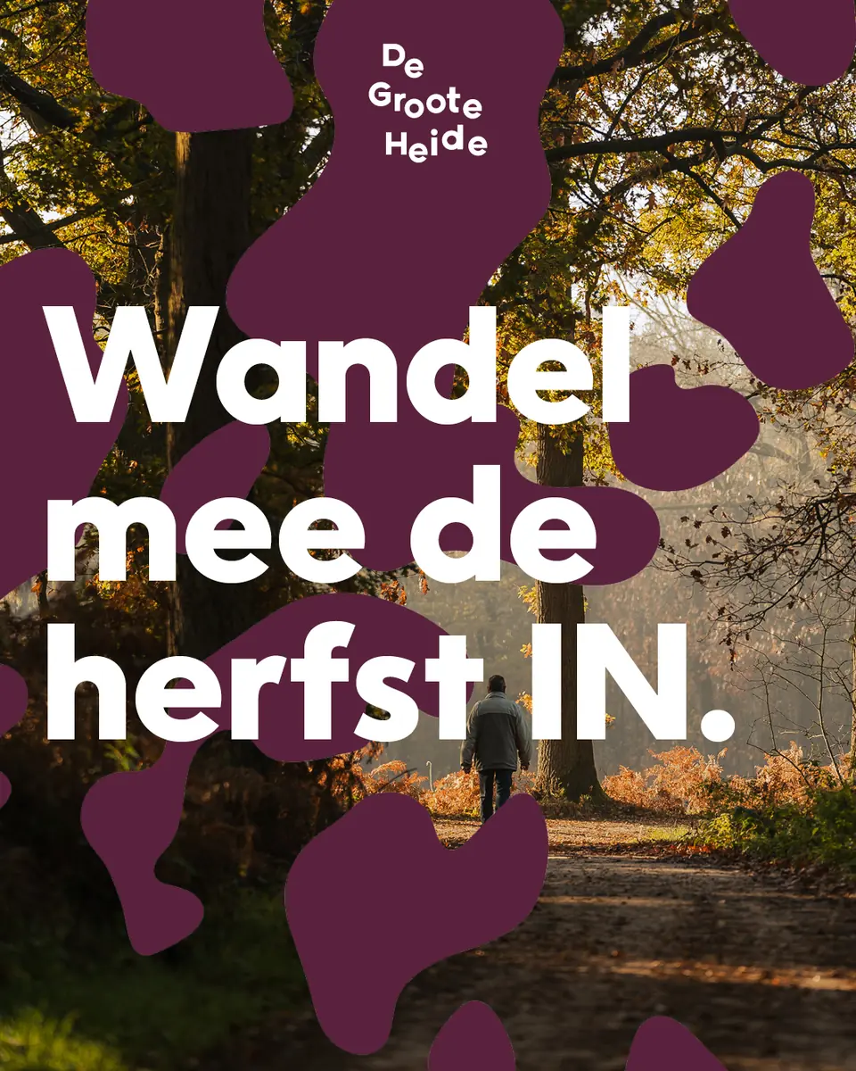 Herbstspaziergang De Groote Heide — Molenstraat 205, Valkenswaard