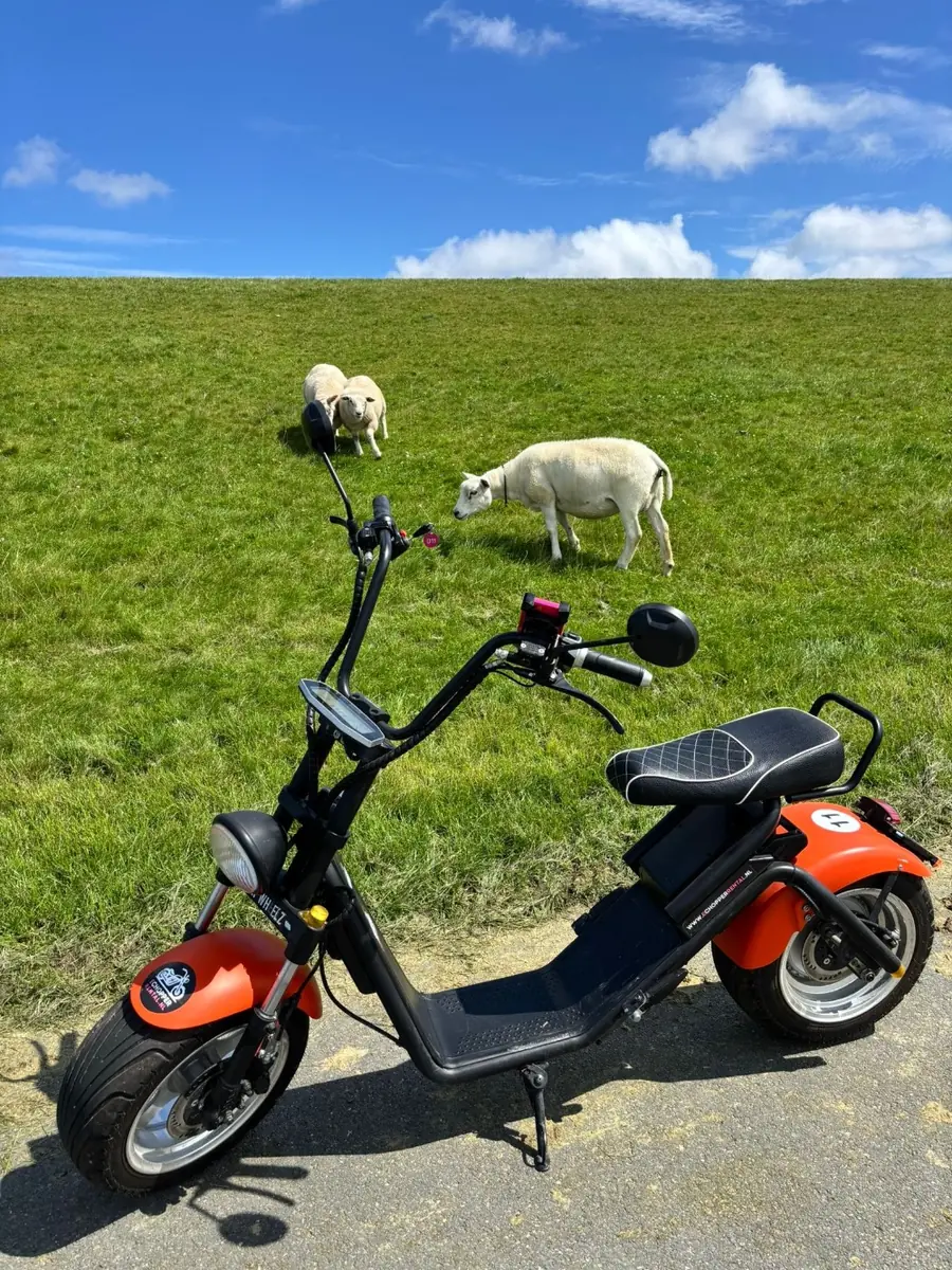 Verken Eemsdelta met de E-chopper — Holwierde