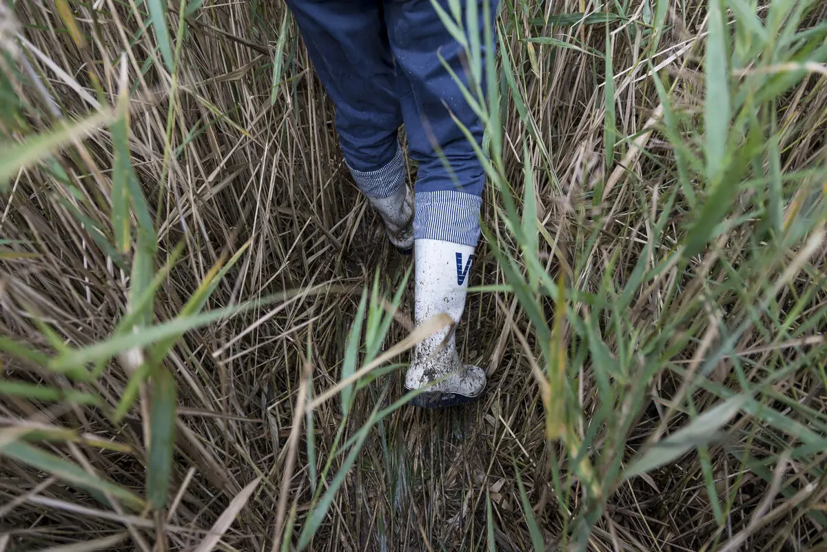 On the Trail as a Junior Forest Ranger - Explore the Underwater World — Termunten