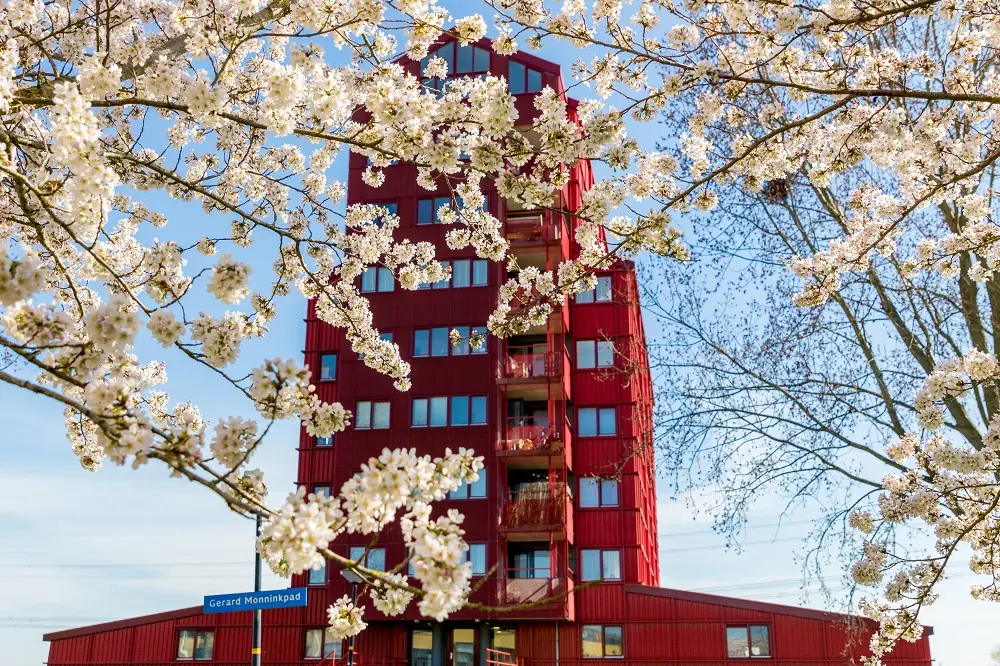 Führung durch das Regenboogbuurt — Almere