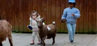 Animal Day at Den Uylpark Children's Farm