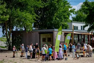 Strandbende: maak je eigen vliegende zeevogel