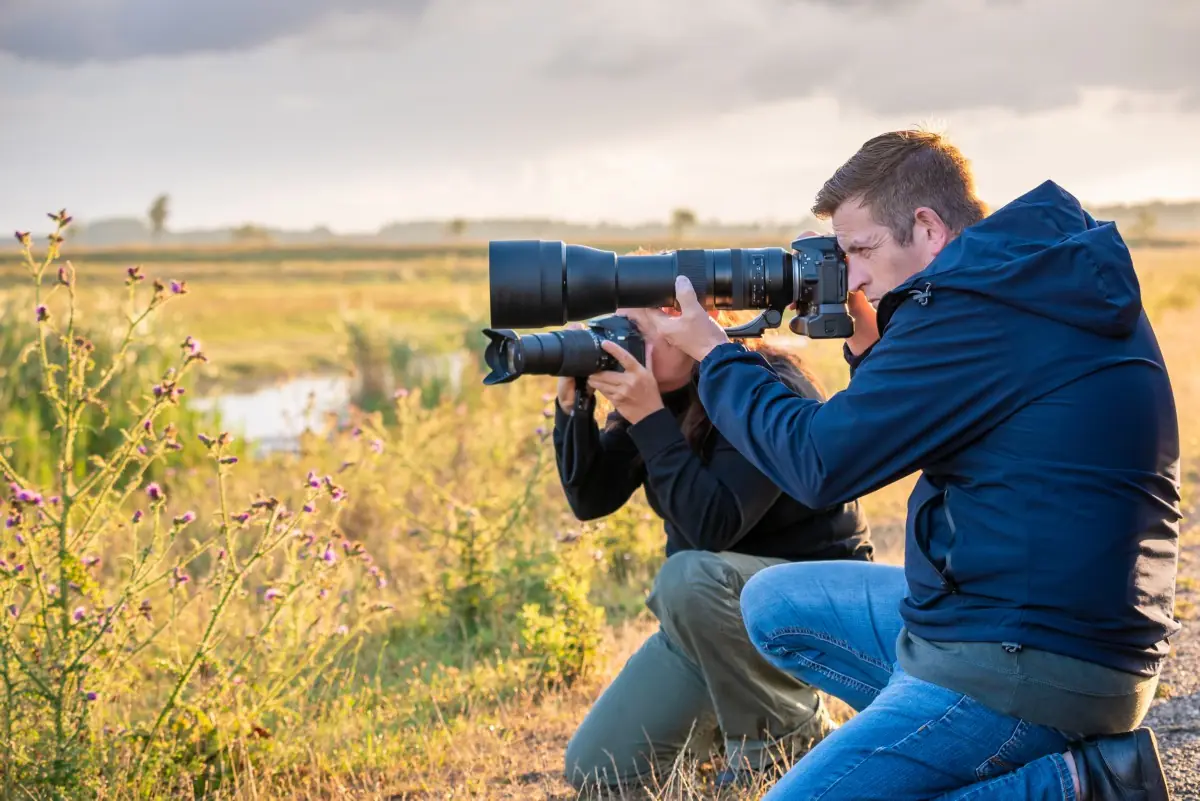 Beginner's Bird Photography Workshop Oostvaardersplassen - Almere — Almere